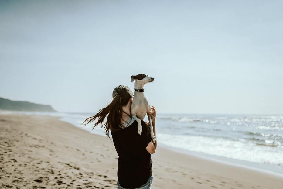 Girl in beach holding her dog